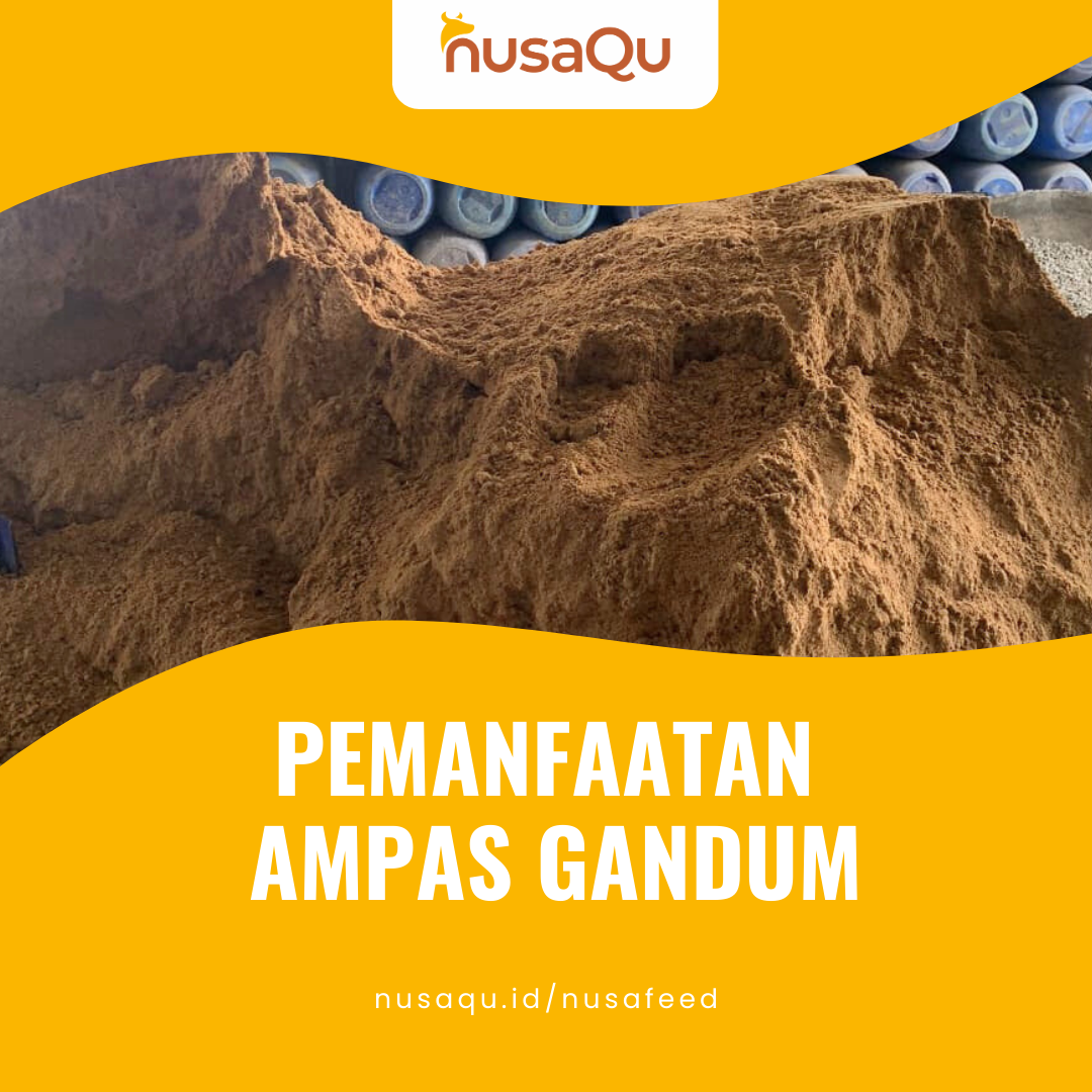Gambar Artikel
