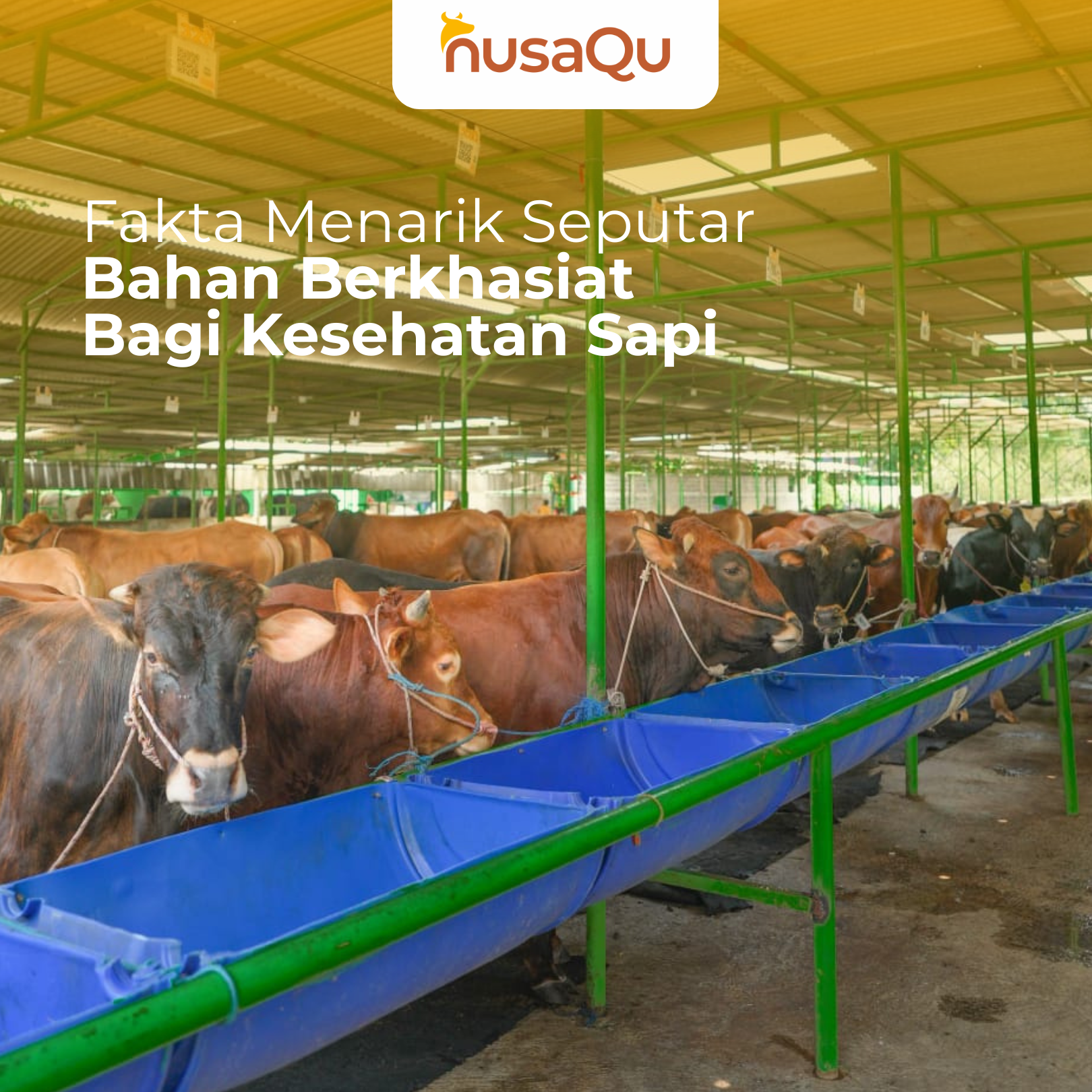 Gambar Artikel