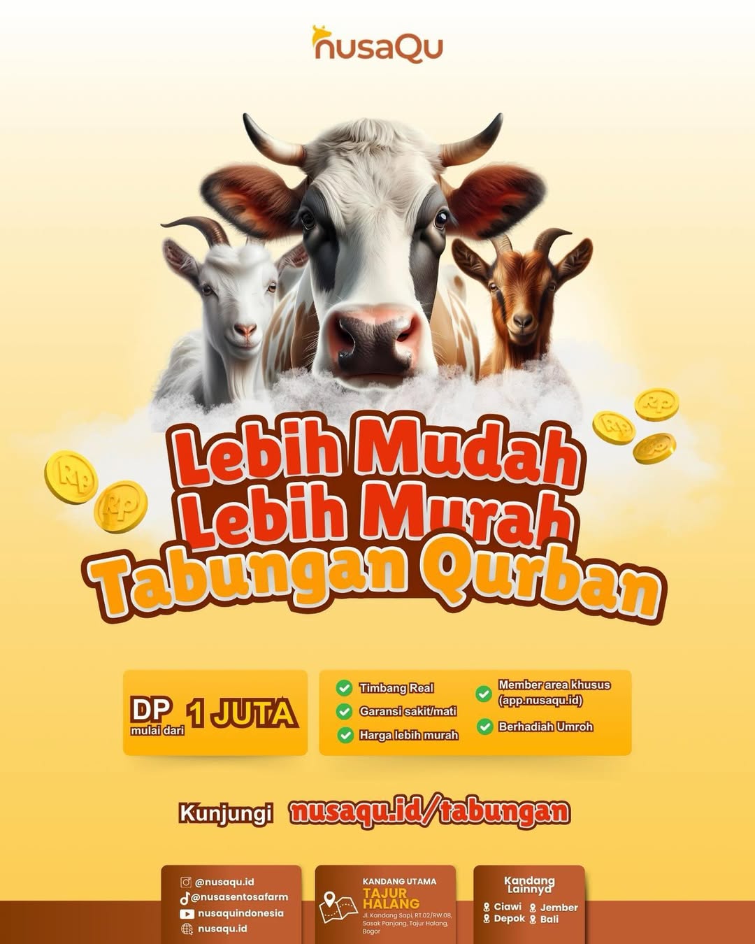 Gambar Artikel