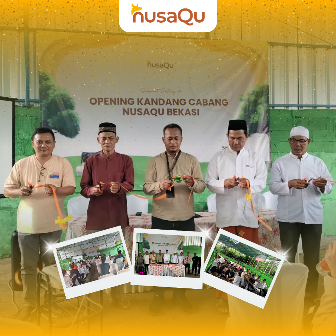 Gambar Artikel